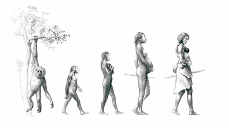 EXPOSICIóN «EVOLUCIóN EN CLAVE DE GéNERO»