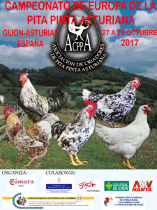 CAMPEONATO DE EUROPA DE LA PITA PINTA ASTURIANA